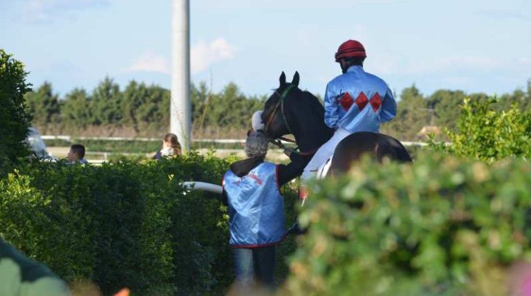 Siracusa, Ippodromo del Mediterraneo. Il galoppo a ricordo di mister Postiglione