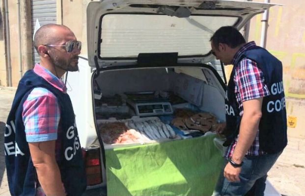 Siracusa. Vende pesce nel bagagliaio della propria autovettura privo di tracciabilità: la Guardia Costiera sanziona un ambulante e sequestra 23 chili di prodotti ittici