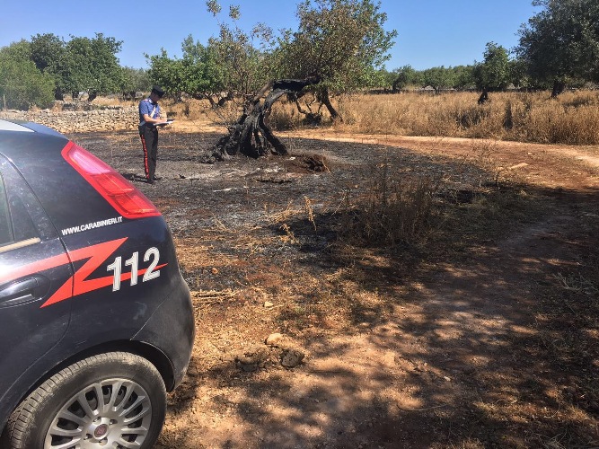 Cadavere carbonizzato nelle campagne di Rosolini: muore tentando di spegnere un incendio