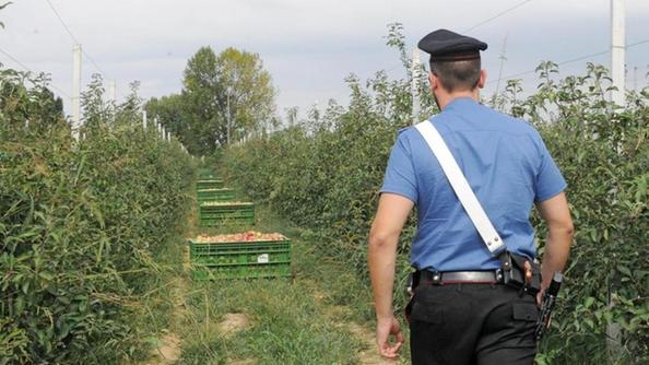 Siracusa e provincia, lotta al caporalato: deferiti 3 imprenditori, elevate sanzioni e contravvenzioni