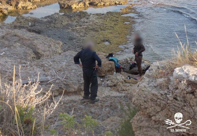 #OperazioneSiracusa, volontari di “Sea Shepherd” in azione al Plemmirio contro la pesca illegale di ricci