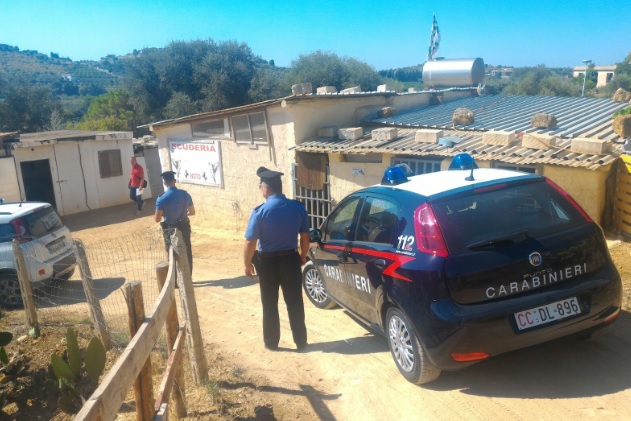 Noto. Corse clandestine di cavalli: cinque persone indagate per associazione a delinquere e maltrattamento di animali