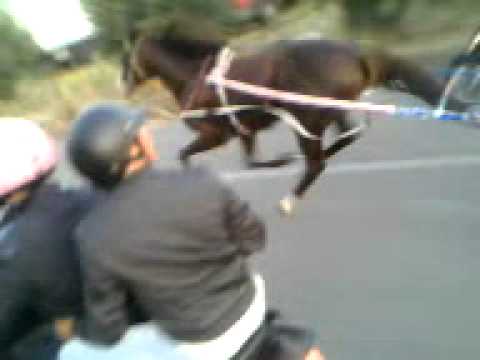 Noto. Corsa clandestina di cavalli ripresa in un video, inserito su Facebook: denunciati