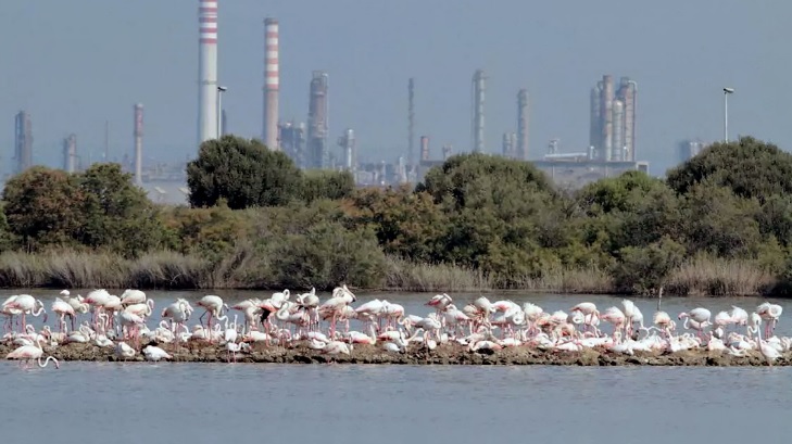 Siracusa. Turismo alternativo nella riserva Saline di Priolo, Lipu: “Possiamo attrarre 2 milioni di famiglie appassionate di natura”