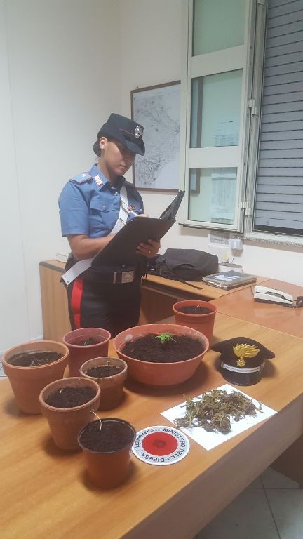 Cassibile, coltivava stupefacenti all’interno di un casolare: ai domiciliari un 21enne