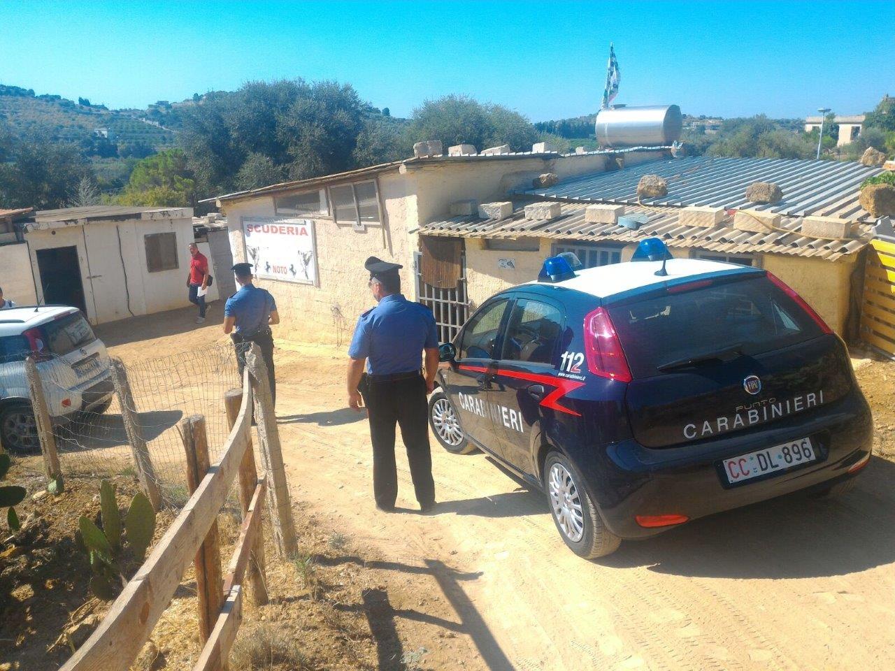 Noto. Contrasto al fenomeno delle corse clandestine di cavalli ed al maltrattamento di animali: i Carabinieri segnalano una persona all’autorità giudiziaria