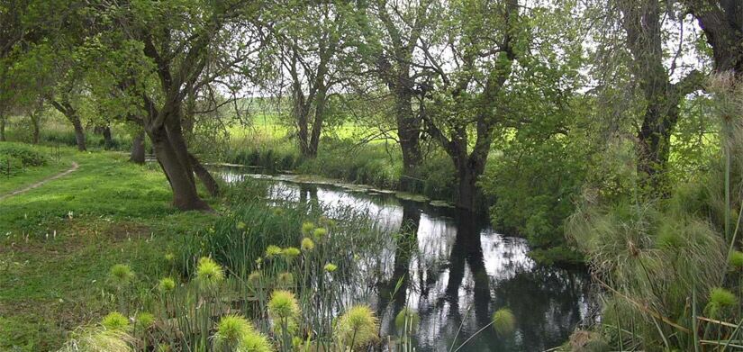 Siracusa. Questa sera, lungo il tracciato del Ciane, per riscoprire le tracce dei Siculi nel territorio