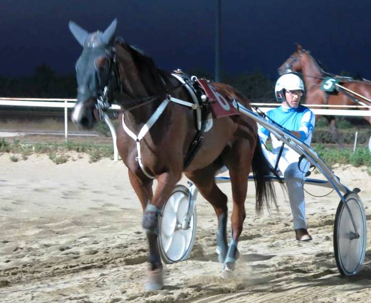 Siracusa, ippica. Trotto pomeridiano mercoledì 30