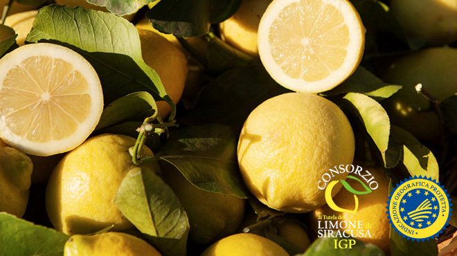 Limone di Siracusa IGP: “nella stagione trascorsa prodotti 1 mln di quintali, al via una nuova campagna con attività benefiche per il territorio”