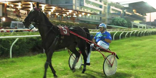 Siracusa, ippica: due anni protagonisti nel Premio Leonardo da Vinci