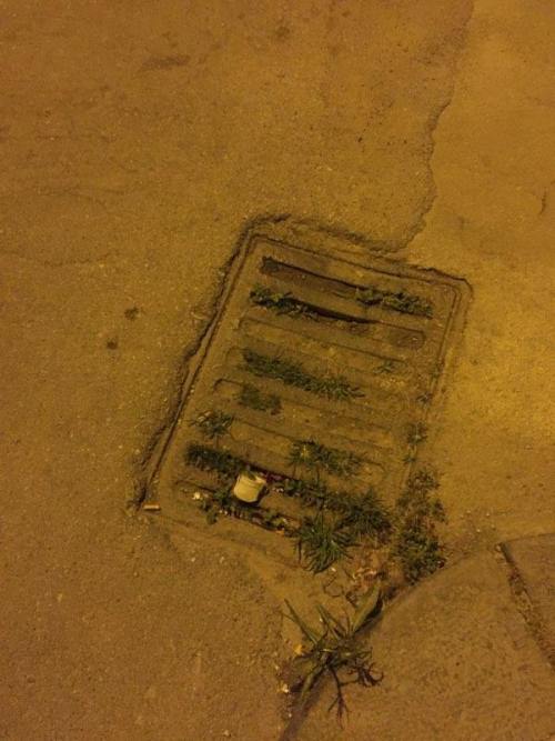 Siracusa, piogge e manutenzione tombini. Alternativa Libera: “ridurre al minimo i rischi”