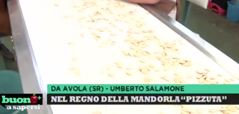 La mandorla “Pizzuta” di Avola raccontata nel programma di Rai 1 “Buono a Sapersi”