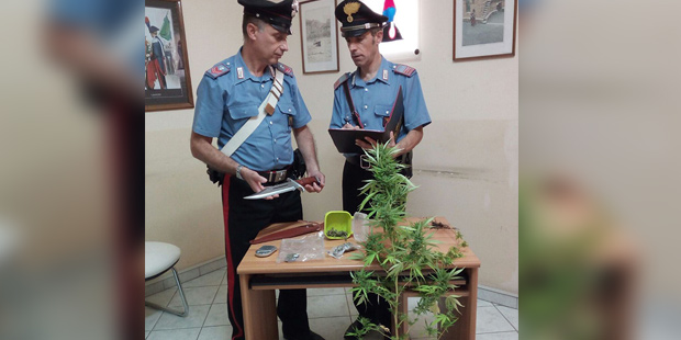 Priolo, scoperto con due piante di marijuana in casa: arrestato un ventenne