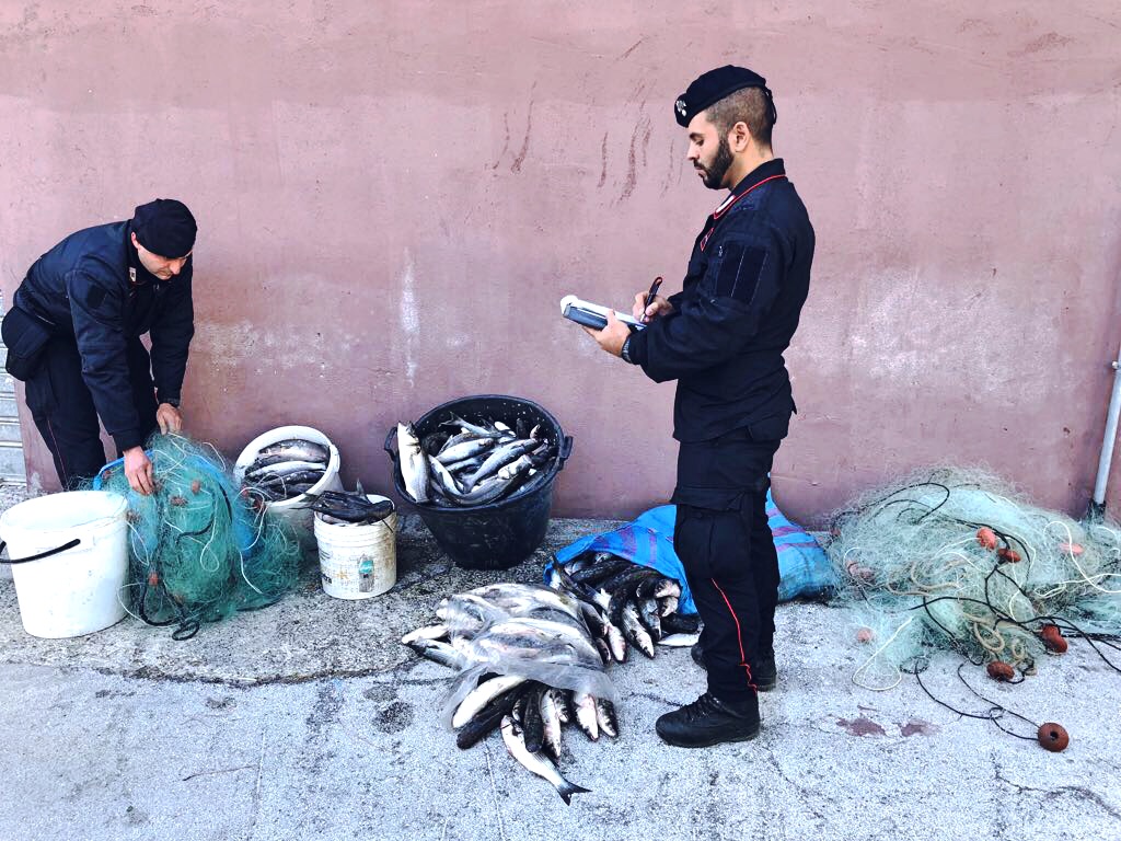 Carlentini. Sorpreso a pescare lungo il fiume San Leonardo con una rete da posta lunga 150 metri: sequestrata l’attrezzatura e sanzionato un catanese