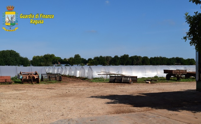 Operazione “Simbiosi”, spacciavano per “Bio” prodotti convenzionali: denunciati anche imprenditori agricoli nel siracusano