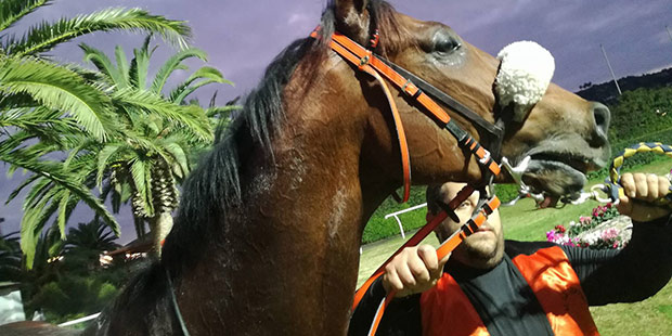 Siracusa, ippica: Vietri c’è. Suo il sigillo alla prova principale del Mediterraneo