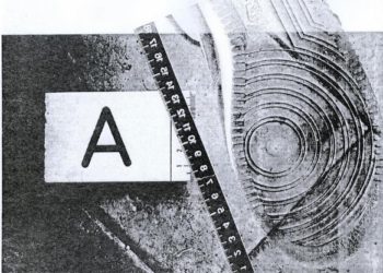 Pachino. Rocambolesco furto di 700 litri d’olio, incastrato da una impronta lasciata nel magazzino: denunciato