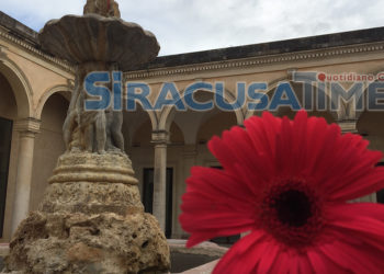 Siracusa, “2750 anni… in fiore”: la celebrazione della primavera all’Antico Mercato di Ortigia