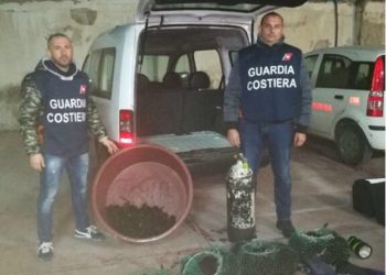 Noto, sorpresi con 1.600 ricci di mare: multa di 12 mila euro elevata dalla Guardia Costiera