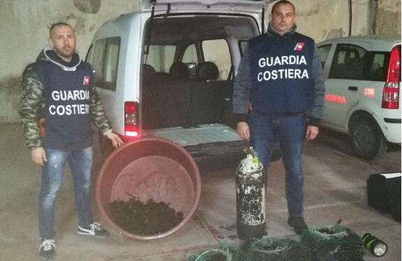 Noto, sorpresi con 1.600 ricci di mare: multa di 12 mila euro elevata dalla Guardia Costiera