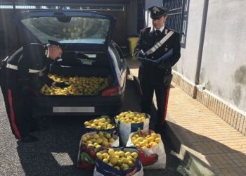 Siracusa, recuperate dai Carabinieri due auto con a bordo 1600 chili di limoni