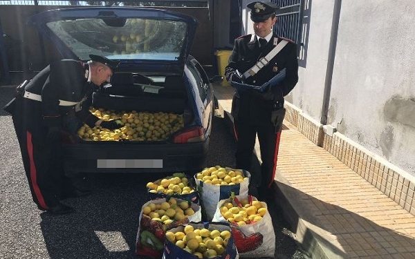 Siracusa, recuperate dai Carabinieri due auto con a bordo 1600 chili di limoni