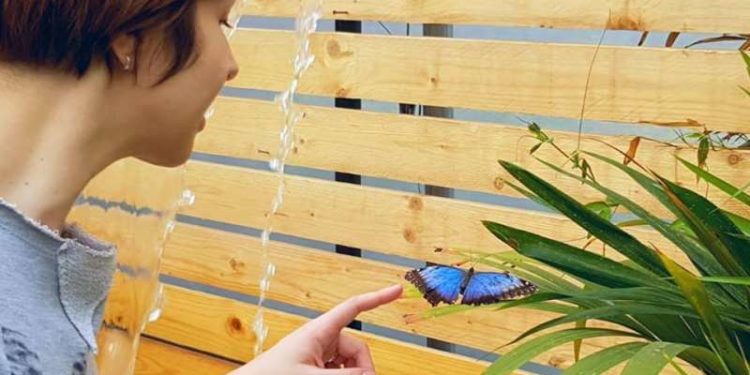 Vip a Siracusa. Marlen Pizzo, conduttrice di Rds visita la Casa delle Farfalle di Piazza Duomo