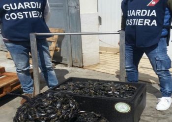 Siracusa. Pesce senza certificato, sequestrati oltre 100 chili di prodotti ittici