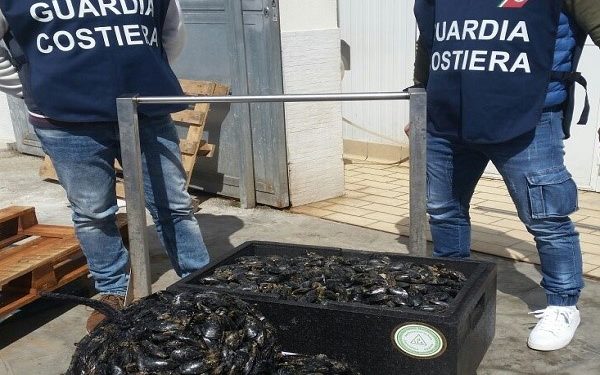 Siracusa. Pesce senza certificato, sequestrati oltre 100 chili di prodotti ittici