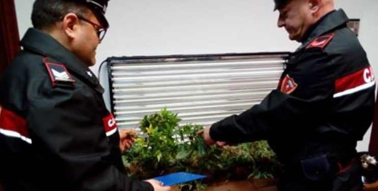 Augusta. Trovato in possesso di stupefacenti nella propria abitazione, ai domiciliari un 28enne