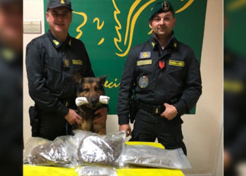 Catania, sequestrati 1,8 kg di marijuana: Fiamme Gialle arrestano “corriere”