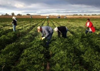Siracusa, lotta al caporalato: controlli serrati della Polizia sulle aziende agricole: allontanati tre romeni