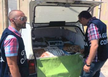 Siracusa, controlli della Guardia Costiera: multato il proprietario di una pescheria