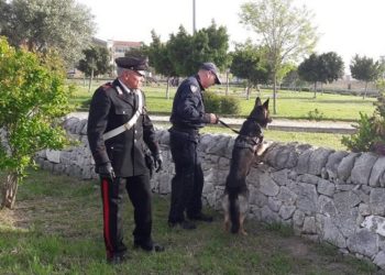Siracusa, i Carabinieri setacciano il Parco Robinson: arresti, denunce e sanzioni per 5 mila euro