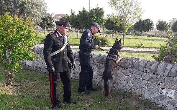 Siracusa, i Carabinieri setacciano il Parco Robinson: arresti, denunce e sanzioni per 5 mila euro