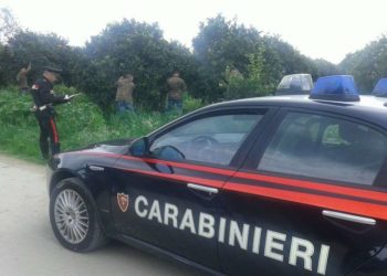 Siracusa, lotta al caporalato e al lavoro nero: denunciati sette imprenditori e sospesa un’attività