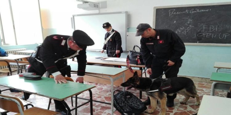 Siracusa, controlli antidroga a scuola: il cane Enko fiuta alcune dosi di hashish e marijuana