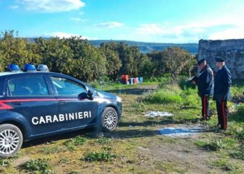 Cassibile, sorpreso con 800 chili di limoni nell’auto: ai domiciliari un 35enne