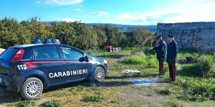 Cassibile, sorpreso con 800 chili di limoni nell’auto: ai domiciliari un 35enne