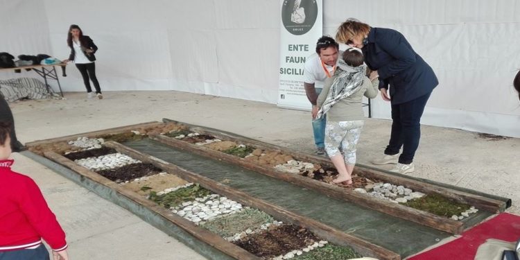 Canicattini Bagni, chiude con bilancio positivo la 4^ Fiera Regionale Agro Zootecnica