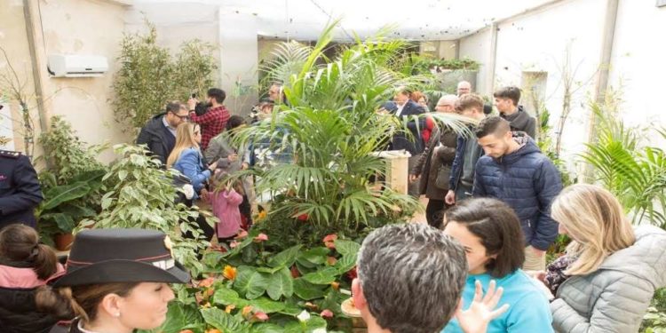 Siracusa. Bufala morbillo alla “Casa delle farfalle”. Nessun allarme, psicosi da catene social