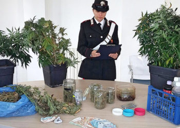 Carlentini, coltivava 18 piante di marijuana in casa: arrestato un 35enne