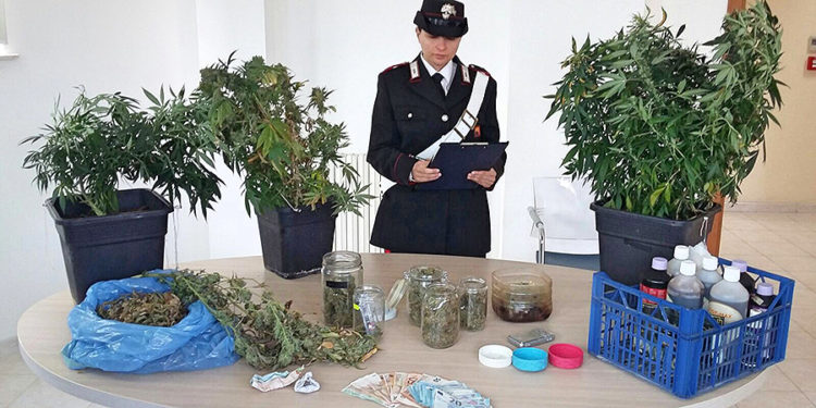 Carlentini, coltivava 18 piante di marijuana in casa: arrestato un 35enne