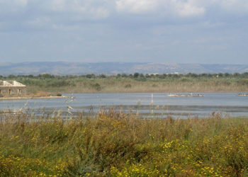 Pachino, sospesa l’istituzione delle zone speciali di conservazione. Consorzio IGP: “accolto il nostro ricorso”