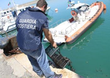 Siracusa, multato pescatore subacqueo di frodo: rigettati in mare 4 chili di mitili