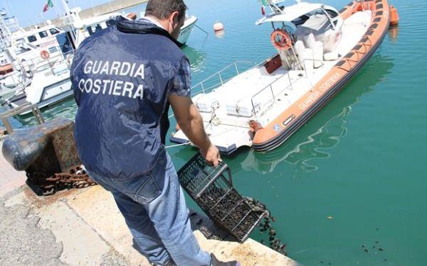 Siracusa, multato pescatore subacqueo di frodo: rigettati in mare 4 chili di mitili