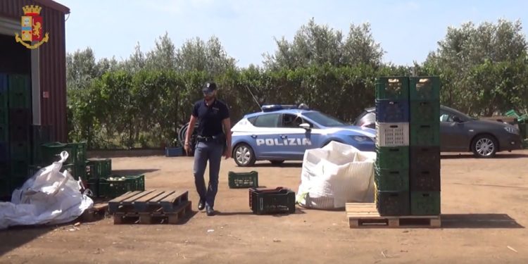 Siracusa, lavoro nero e traffico di esseri umani: al setaccio aziende agricole della provincia