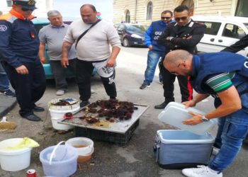 Siracusa, vendita abusiva di ricci di mare in Ortigia: multa da otto mila euro per il trasgressore