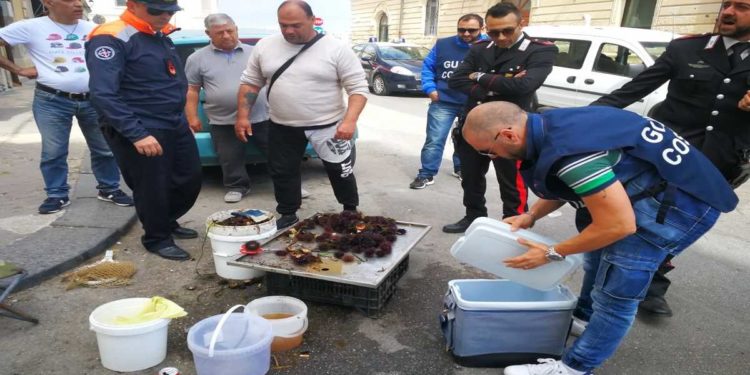 Siracusa, vendita abusiva di ricci di mare in Ortigia: multa da otto mila euro per il trasgressore