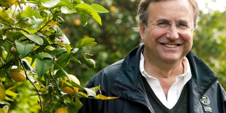 Siracusa. Irruzione di notte nell’azienda “Campisi”, il socio è il candidato Moschella: ipotesi intimidazione legata alla campagna elettorale